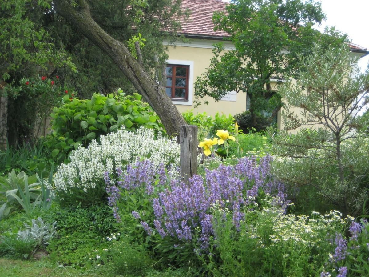 Mala Kmetija Bed and Breakfast Slovenske Konjice Εξωτερικό φωτογραφία